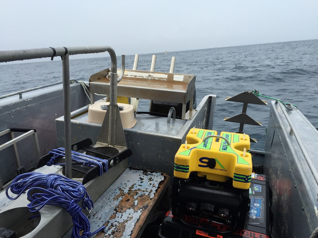 underwater habitat inspection with remote operated vehicles (ROV)