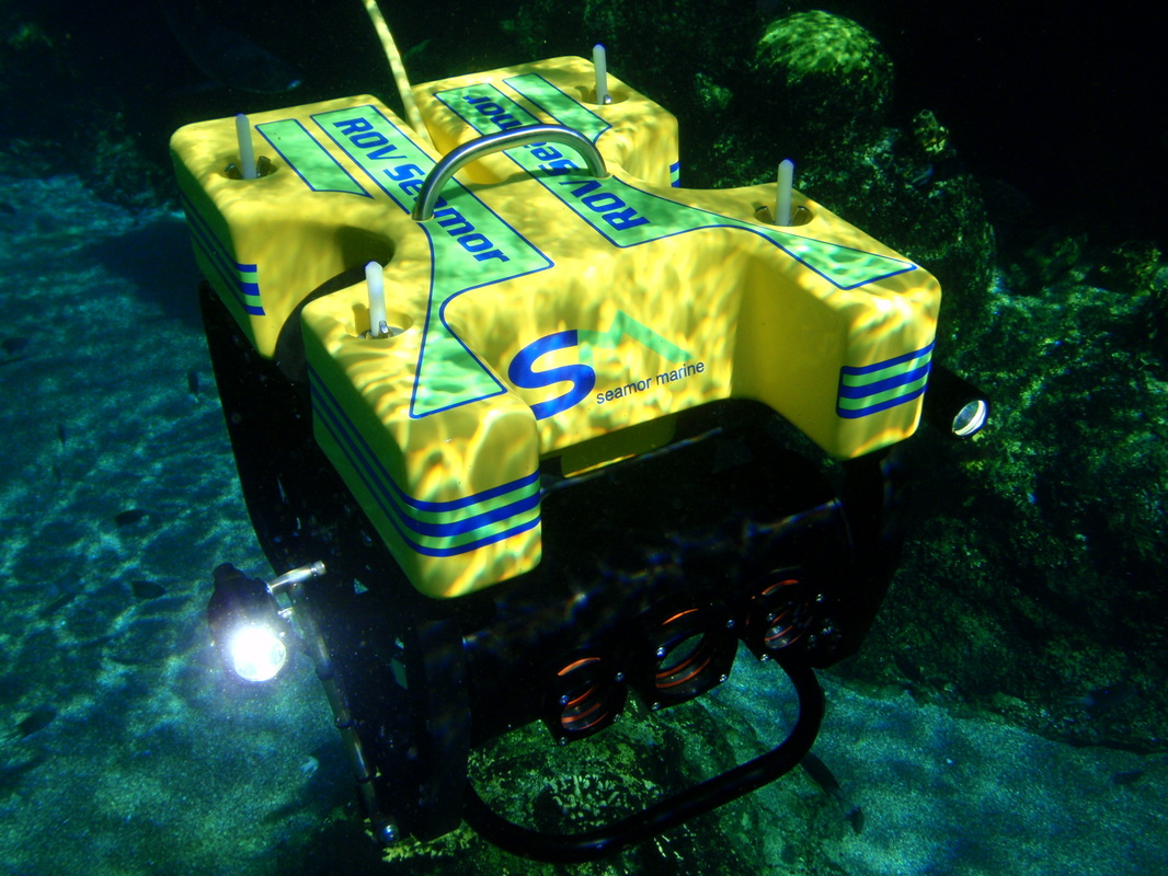 ROV underwater inspection